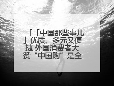 「中国那些事儿」优质、多元又便捷 外国消费者大赞“中国购”是全新体验！