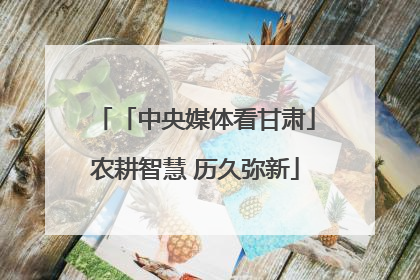 「中央媒体看甘肃」农耕智慧 历久弥新