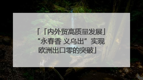 「内外贸高质量发展」“永春香 义乌出”实现欧洲出口零的突破