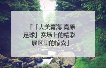 「大美青海 高原足球」赛场上的精彩 展区里的惊喜