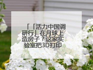 「活力中国调研行」在月球上造房子？这家实验室把3D打印“带上月球”