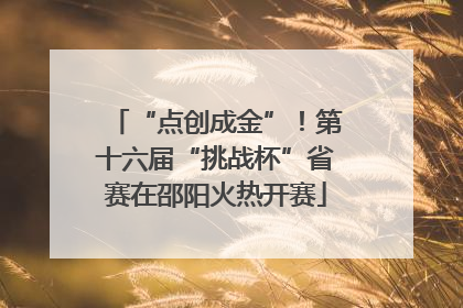 “点创成金”！第十六届“挑战杯”省赛在邵阳火热开赛