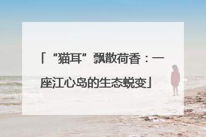 “猫耳”飘散荷香：一座江心岛的生态蜕变
