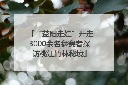 “益阳走娃”开走 3000余名参赛者探访桃江竹林秘境
