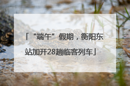 “端午”假期，衡阳东站加开28趟临客列车