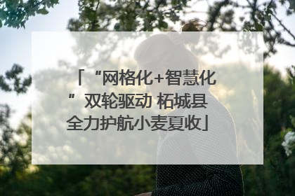 “网格化+智慧化”双轮驱动 柘城县全力护航小麦夏收