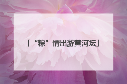 “粽”情出游黄河坛