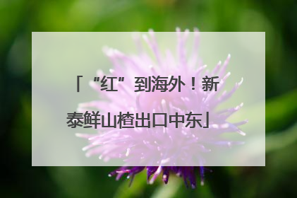 “红”到海外！新泰鲜山楂出口中东