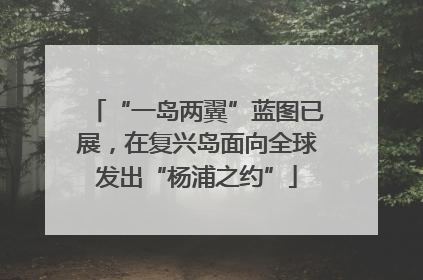 “一岛两翼”蓝图已展，在复兴岛面向全球发出“杨浦之约”