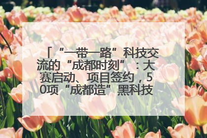“一带一路”科技交流的“成都时刻”：大赛启动、项目签约，50项“成都造”黑科技吸引多国客商