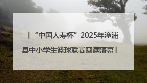 “中国人寿杯”2025年漳浦县中小学生篮球联赛圆满落幕