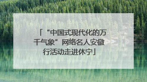 “中国式现代化的万千气象”网络名人安徽行活动走进休宁