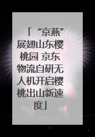 “京燕”展翅山东樱桃园 京东物流自研无人机开启樱桃出山新速度