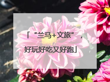“兰马+文旅”，好玩好吃又好跑