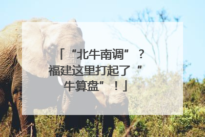 “北牛南调”?福建这里打起了“牛算盘”!