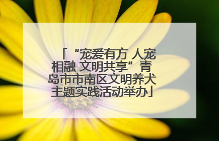 “宠爱有方 人宠相融 文明共享”青岛市市南区文明养犬主题实践活动举办