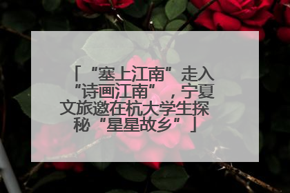 “塞上江南”走入“诗画江南”，宁夏文旅邀在杭大学生探秘“星星故乡”