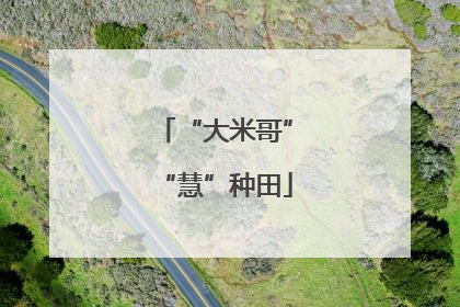 “大米哥”“慧”种田