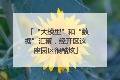 “大模型”和“数据”汇聚，经开区这座园区很酷炫