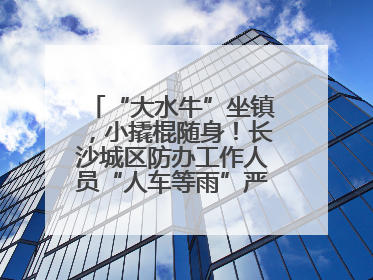 “大水牛”坐镇，小撬棍随身！长沙城区防办工作人员“人车等雨”严阵以待
