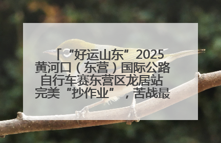 “好运山东”2025黄河口（东营）国际公路自行车赛东营区龙居站 完美“抄作业”，苦战最后时刻黄衫易主