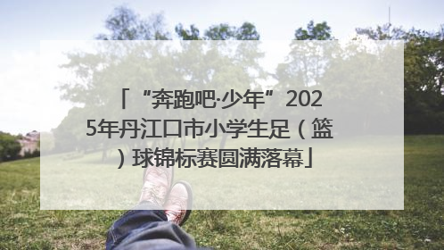 “奔跑吧·少年”2025年丹江口市小学生足（篮）球锦标赛圆满落幕