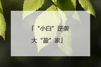 “小白”逆袭大“盈”家