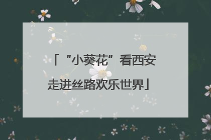“小葵花”看西安走进丝路欢乐世界