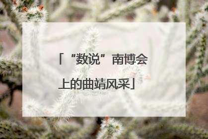 “数说”南博会上的曲靖风采