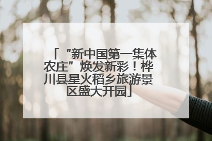 “新中国第一集体农庄”焕发新彩！桦川县星火稻乡旅游景区盛大开园