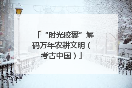 “时光胶囊”解码万年农耕文明（考古中国）