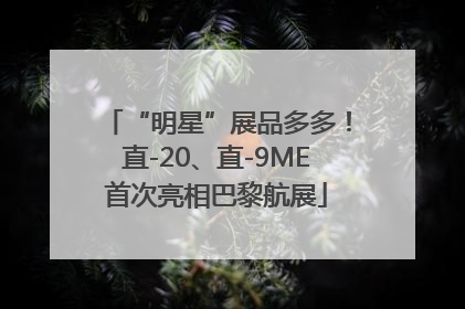 “明星”展品多多！直-20、直-9ME首次亮相巴黎航展
