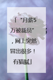 “月薪5万被裁员”，网上突然冒出很多！有猫腻