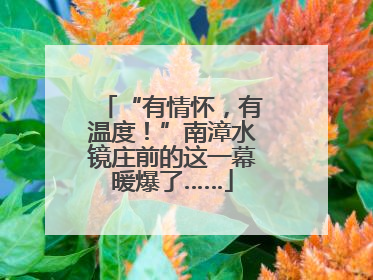 “有情怀，有温度！”南漳水镜庄前的这一幕暖爆了……