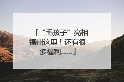 “毛孩子”亮相福州这里！还有很多福利……