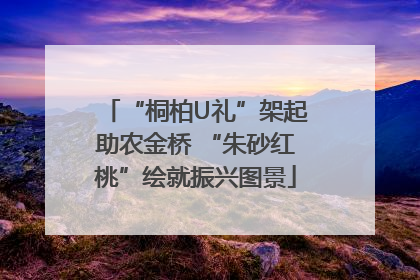 “桐柏U礼”架起助农金桥 “朱砂红桃”绘就振兴图景