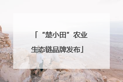“楚小田”农业生态链品牌发布