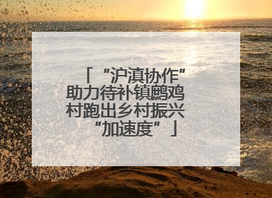 “沪滇协作”助力待补镇鹧鸡村跑出乡村振兴“加速度”