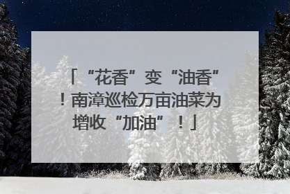 “花香”变“油香”！南漳巡检万亩油菜为增收“加油”！