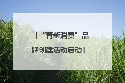 “青新消费”品牌创建活动启动