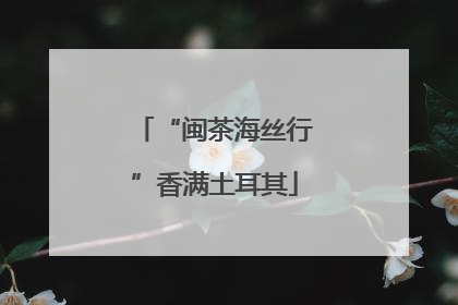 “闽茶海丝行”香满土耳其