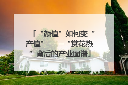 “颜值”如何变“产值”——“赏花热”背后的产业图谱