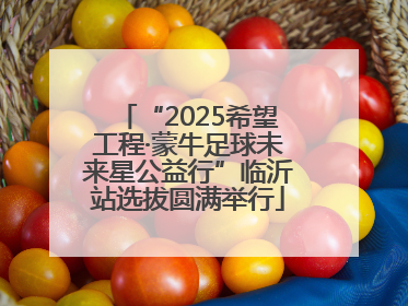 “2025希望工程·蒙牛足球未来星公益行”临沂站选拔圆满举行
