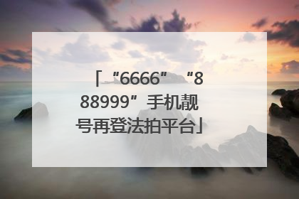 “6666”“888999”手机靓号再登法拍平台
