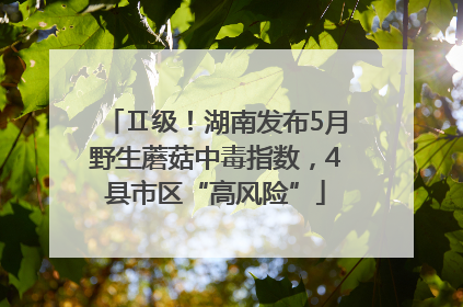 Ⅱ级！湖南发布5月野生蘑菇中毒指数，4县市区“高风险”
