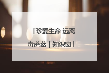 珍爱生命 远离毒蘑菇｜知识窗