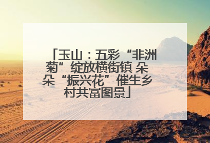玉山：五彩“非洲菊”绽放横街镇 朵朵“振兴花”催生乡村共富图景