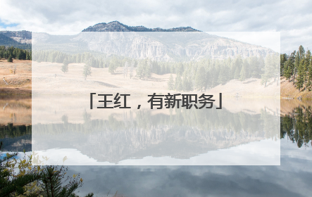 王红，有新职务