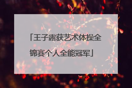 王子露获艺术体操全锦赛个人全能冠军