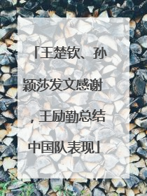 王楚钦、孙颖莎发文感谢，王励勤总结中国队表现